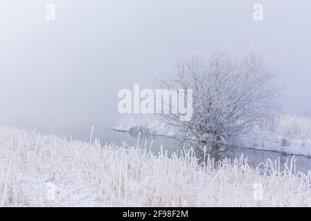 Ein magischer Wintermorgen in Schlehdorf am Kochelsee, Bayern, mit Frost, Sonnenschein, Nebel und frisch gefallener Schneedecke. Stockfoto