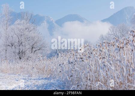 Ein magischer Wintermorgen in Schlehdorf am Kochelsee, Bayern, mit Frost, Sonnenschein, Nebel und frisch gefallener Schneedecke. Stockfoto