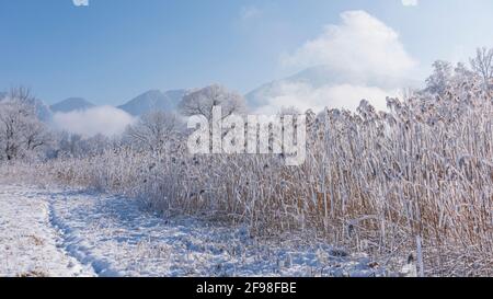 Ein magischer Wintermorgen in Schlehdorf am Kochelsee, Bayern, mit Frost, Sonnenschein, Nebel und frisch gefallener Schneedecke. Stockfoto