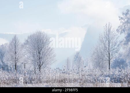 Ein magischer Wintermorgen in Schlehdorf am Kochelsee, Bayern, mit Frost, Sonnenschein, Nebel und frisch gefallener Schneedecke. Stockfoto