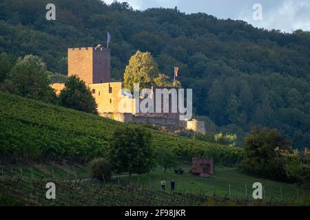 Deutschland, Rheinland-Pfalz, Südpfalz, Klingenmünster, Schloss Landeck. Stockfoto