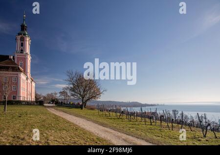 BirNau am Bodensee, Basilika Stockfoto