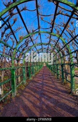 Peterhof Palace in Sankt Petersburg, Russland genommen @Peterhof Palace, Russland Stockfoto