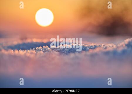 Schneedecke, Abendlicht, Sonnenuntergang Stockfoto