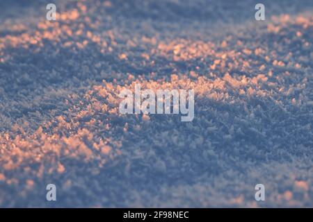 Schneedecke, Abendlicht Stockfoto