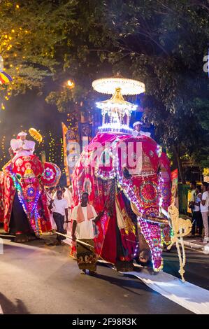Sri Lanka, Colombo, Gangaramaya-Tempel, das NaWaM Maha Perahera-Fest, Elefant, Kostüm, prächtig, Stockfoto