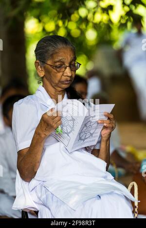 Sri Lanka, Kelaniya, Kelaniya Tempel, Senioren, lesen, Stockfoto