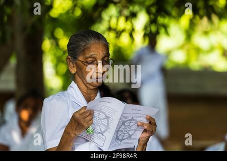 Sri Lanka, Kelaniya, Kelaniya Tempel, Senioren, lesen, Stockfoto