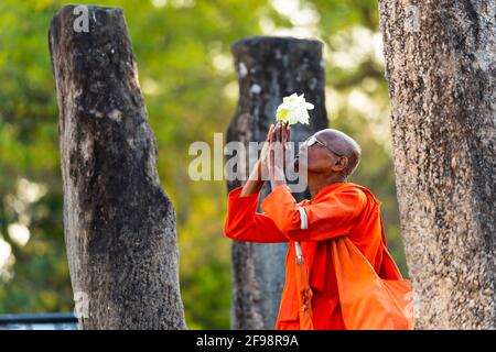 Sri Lanka, Kataragama, Tempel Kataragama, Mönch, Senior, Gebet, Stockfoto