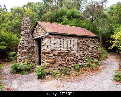 Cut Leaf Daisy (Brachyscome multifida), einheimische Flora, Wilsons Promontory National Park, Australien Stockfoto