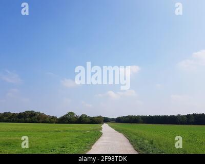Schotterweg zwischen den Wiesen im Riemer Park Stockfoto