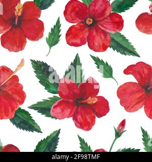 Tropisches nahtloses Muster mit roten Hibiskusblüten und Blättern. Aquarelldarstellung. Stockfoto