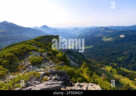 Alpine Berglandschaft im Naturschutzgebiet hoher Ifen an einem sonnigen Sommertag. Blick auf den Bregenzerwald mit Winterstrauch. Allgäuer Alpen, Bayern, Deutschland, Vorarlberg, Österreich Stockfoto