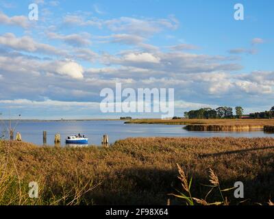 Leichte Stimmung am Bodstedter Bodden bei Zingst am Abend, Nationalpark Lagune Vorpommern, Mecklenburg-Vorpommern, Deutschland Stockfoto