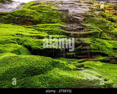 Bemoosten Felsen und Wasserfall an der Bucht von Tintagel in Cornwall. Stockfoto