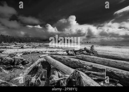 Der La Push Strand ist sagenhaft im Indianerreservat Quileute Stockfoto