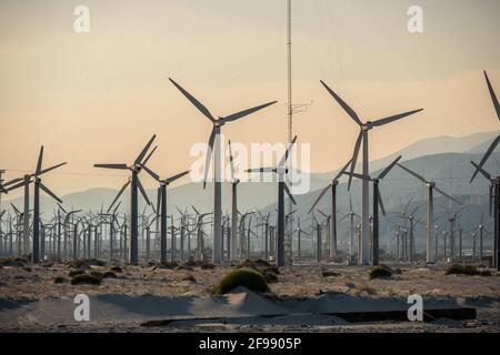 Die Windmühlen von Palm Springs in Kalifornien - Reisefotografie Stockfoto