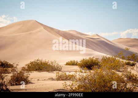 Big Sand Dunes in der Wüste von Nevada - Reise Fotografie Stockfoto