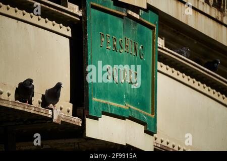 Tauben, die am Pershing Square, Midtown Manhattan, New York, ein Sonnenbad nehmen Stockfoto