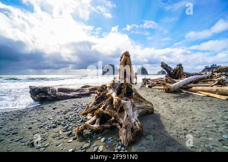 Schöne coas-Linie von La Push in Clallam County Washington Stockfoto