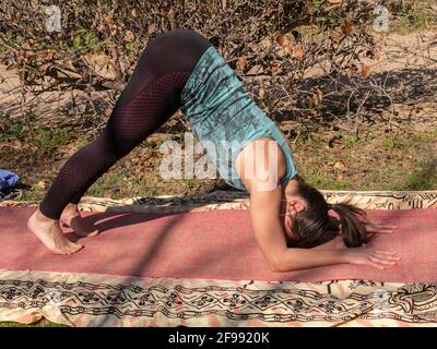 Brunette Frau, die Yoga-Klasse in einem Park auf einem Sonniger Tag Stockfoto