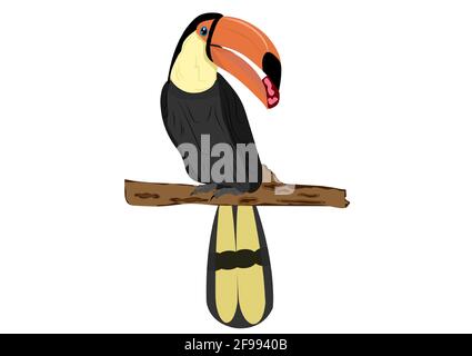 Vogel Hornbill steht auf Zweig des Baumes Vektor-Illustration Stock Vektor