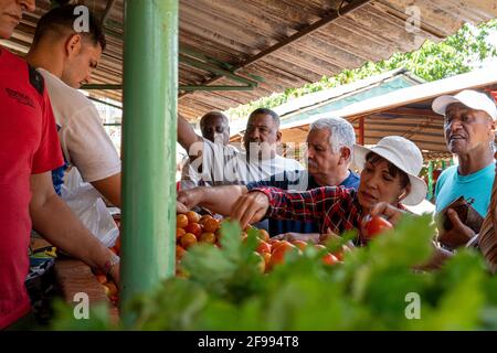 Lokaler Markt in Havanna, Provinz Havanna, Kuba Stockfoto