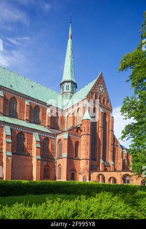 Doberan, ehemaliges Zisterzienserkloster, Bad Doberan, Mecklenburg-Vorpommern, Deutschland, Europa Stockfoto