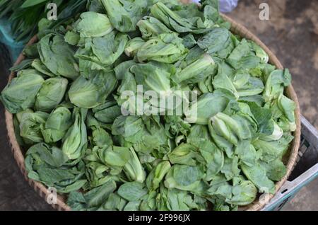 Ein Haufen brüsseler Sprossen auf dem Markt. Stockfoto