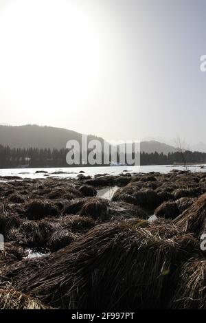 Winterwanderung bei Gerold, bei Klais, Europa, Deutschland, Bayern, Oberbayern, Werdenfels, Winter, gefrorener See, der blaue Himmel ist bewölkt durch den Sahara-Staub, der durch Föhn, einzigartige Beleuchtung, gebracht wird Stockfoto