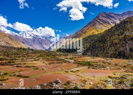 Ruhige Landschaft in der Nähe von Chitkul Dorf in Kinnaur Bezirk von Himachal Pradesh, Indien. Es ist das letzte bewohnte Dorf in der Nähe der indochinesischen Grenze. Stockfoto