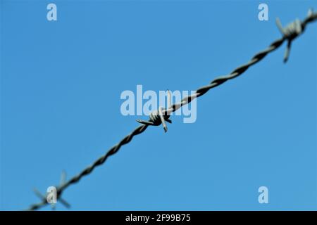 Stacheldraht vor blauem Himmel Stockfoto