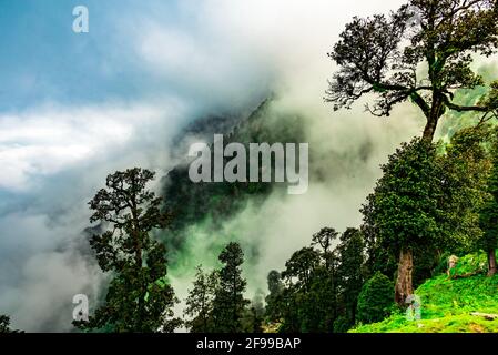 Bewaldeter Berghang mit immergrünen Nadelbäumen, die in Nebel gehüllt sind, in einer malerischen Landschaft bei Triund, McLeod ganj, Himachal Pradesh, Indien. Stockfoto