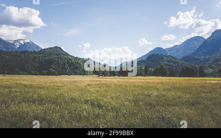 Alpwiesen und Ausblicke auf traumhafte Berge in den Alpen bei Eschenlohe, Garmisch-Partenkirchen, Bayern, Deutschland, Europa. Stockfoto