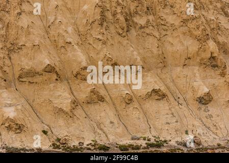 Die Wassererosion ist eine Wassererosion, die in der trockenen, kalten Wüstenlandschaft von Spiti aufgrund karger steiler Hänge und schwacher, nicht konsolidierter geologischer Oberfläche auffällt Stockfoto