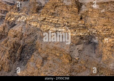 Gesteinsbandmuster der Schichtung in Sedimentgesteinen aufgrund von Veränderungen in der Struktur oder Zusammensetzung während der Ablagerung im Himalaya von Spiti . Sedime Stockfoto