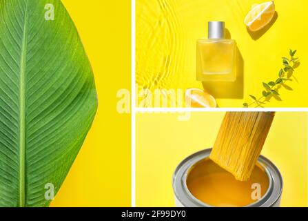 Collage von Fotos in gelben und grünen Farben Stockfoto