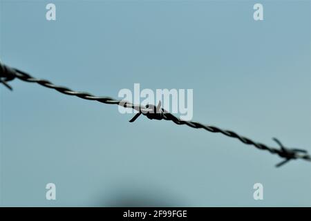 Stacheldraht vor blauem Himmel Stockfoto