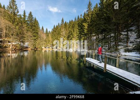 Pfanntalsteich bei Oberhof in Thüringen. Stockfoto