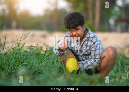 Ein Junge mit einer Melone im Feld Qualitätsauswahl für Verbraucher, Kid Lächeln mit Melone auf dem Bauernhof Stockfoto