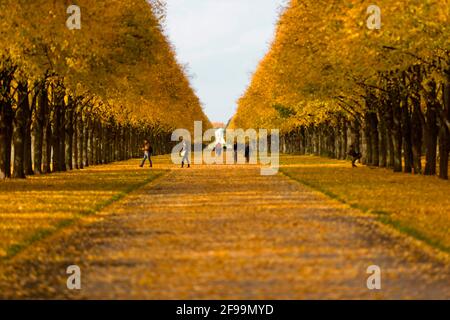 Wanderer im Georgengarten, Hannover Herenhausen, Niedersachsen, Deutschland Stockfoto
