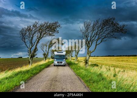 Wohnmobil auf einer schmalen Landstraße mit Bäumen Stockfoto