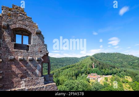 Blick von der Burgruine Fleckenstein über die waldreichen Nordvogesen an einem sonnigen Sommertag. Bas-Rhin, Alsace, Grand Est, Frankreich Stockfoto