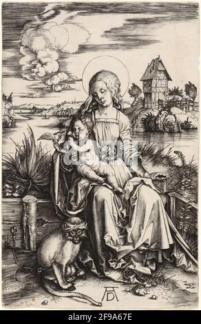 Die Jungfrau und das Kind mit dem Affen, c. 1498. Stockfoto