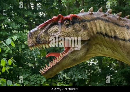 Dinosaurier Allosaurus (ähnlich dem Tyrannosaurus) als Modell im Dinopark Münchehagen bei Hannover. Lebte vor etwa 150 Millionen Jahren (Ende der Jurassic Periode) in Nordamerika und Europa, war etwa 9 m lang und 1,5 t im Gewicht. Stockfoto