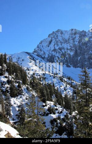 Winterwanderung bei Mittenwald, Blick auf den Wörner Sattel, rechts davon die Wörner 2476m, Karwendelgebirge, Europa, Deutschland, Bayern, Oberbayern, Isartal, Werdenfelser Land Stockfoto