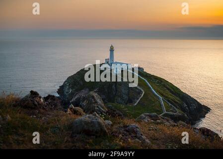 South Stack Lighthouse im letzten Licht des Tages auf einer kleinen, felsigen Insel Stockfoto