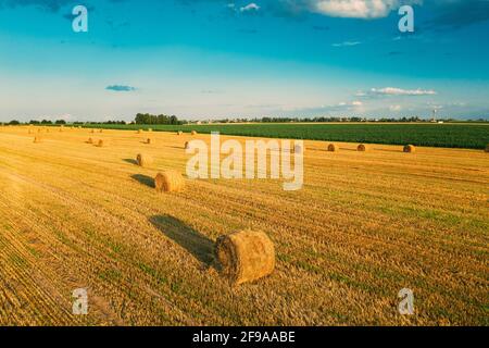 Luftaufnahme Der Sommer Hay Rolls Straw Field Landschaft Am Abend. Heuhaufen, Heuhaufen Rollen in Sunrise Time Stockfoto