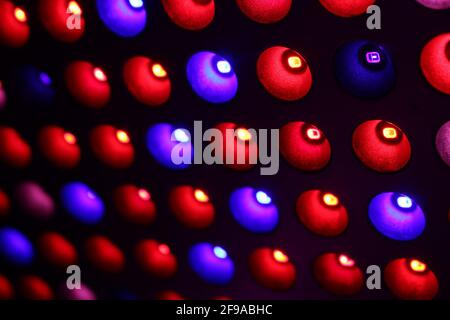 LED-Vollspektrum, um Licht für wachsende Pflanzen anzubauen, geringe Schärfentiefe Stockfoto