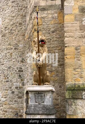 Die neu renovierten goldenen Löwen werden in die Stadt Bargate zurückgebracht. Die Löwen stehen seit Jahrhunderten über der Stadt. Southampton, Großbritannien Stockfoto